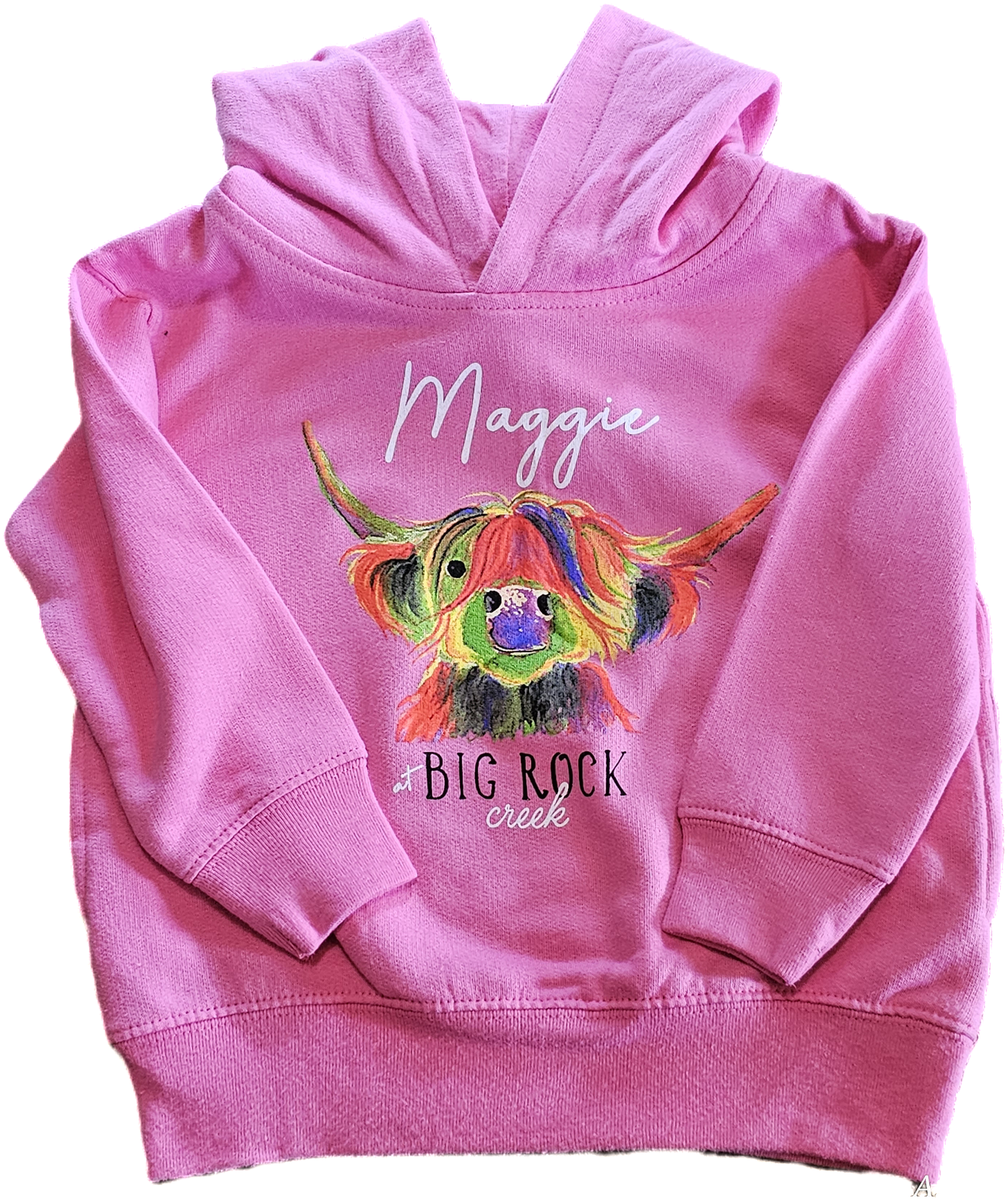 Rainbow Maggie Hoodie Pink