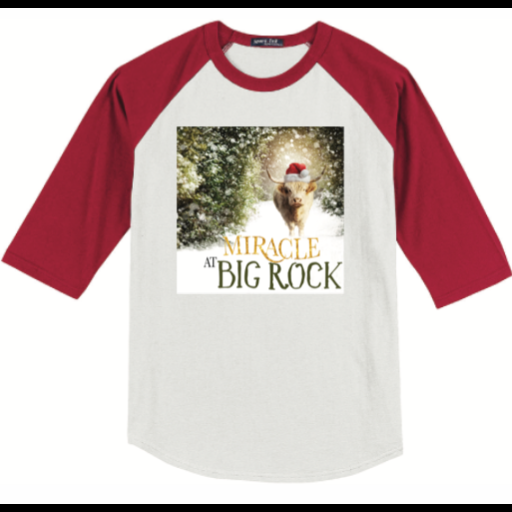 Miracle Red Sleeve Kids T Shirt
